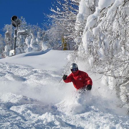 Mountain Lodge Snowshoe Exterior foto