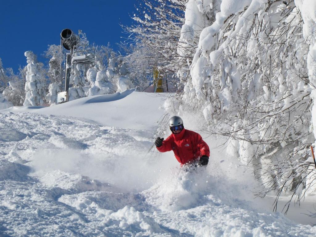 Mountain Lodge Snowshoe Exterior foto